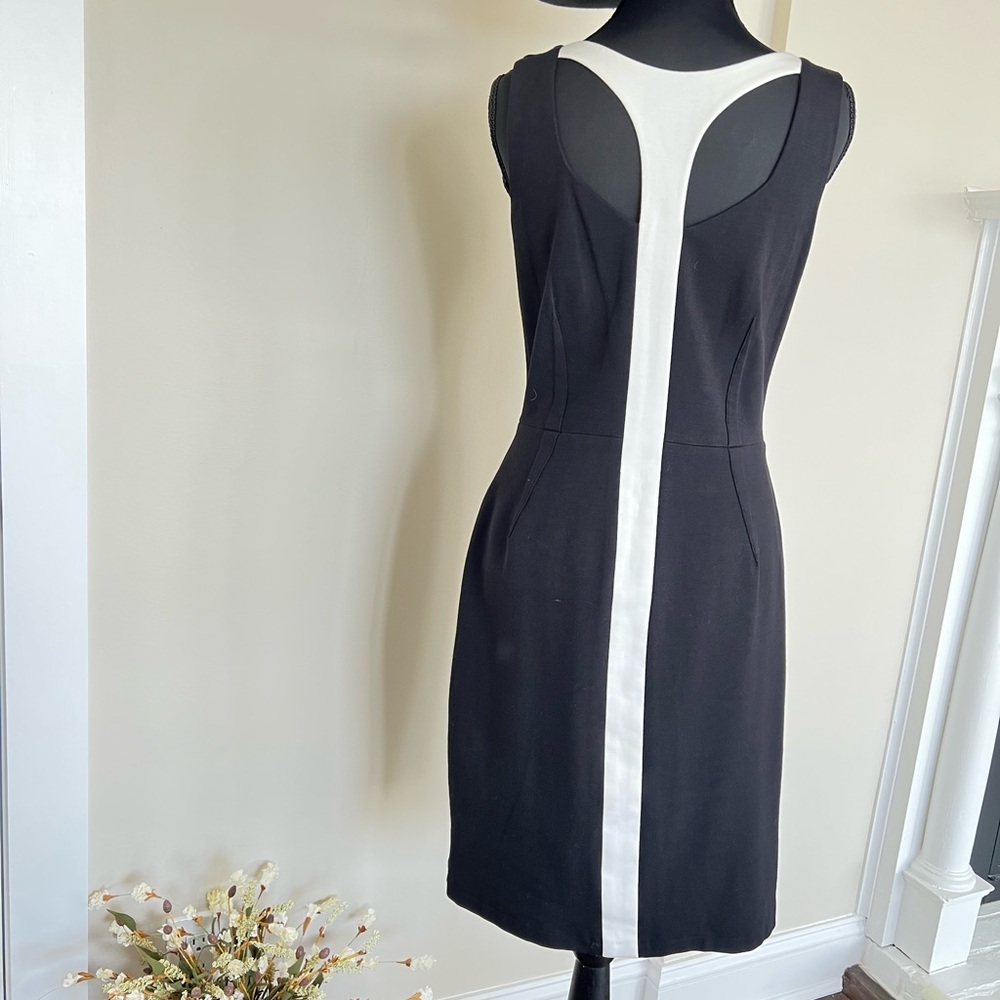 Elegant Black and White Dress